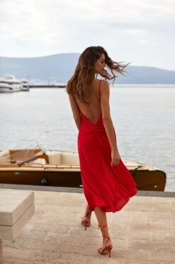 Roza Dress 14 Roza Dress -ALAMOUR ONLINE STORE 114 5ee6f58e f1fe 4a33 9938 2db50e263a5b