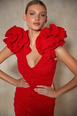 Monica Dress 20 Monica Dress -ALAMOUR ONLINE STORE 20 1ba6fe30 b42e 46c8 a624 3ca51def9e22