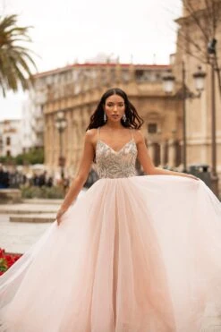Litzy Beaded Tulle Gown - Baby Pink 15 Litzy Beaded Tulle Gown - Baby Pink -ALAMOUR ONLINE STORE 235 939198f2 0fd8 42e7 830a 82cd17e69b52