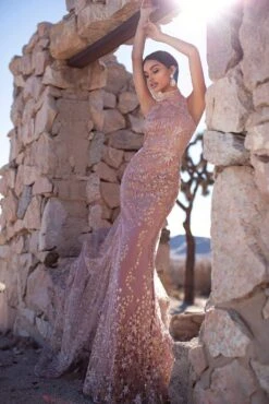 Tyra Glitter Cape Gown - Rose Gold -ALAMOUR ONLINE STORE 48 0b4f93d4 26df 4241 8271 19004058afa0