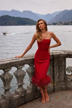 Briel Dress 13 Briel Dress -ALAMOUR ONLINE STORE 57 c5182d92 326c 4b8a 98f3 62f2e7e4fcd4