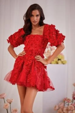 Coraline Dress 19 Coraline Dress -ALAMOUR ONLINE STORE 59 b09c991e 387d 47ba b903 dcf10118fa7c