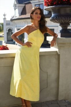 Colette Dress -ALAMOUR ONLINE STORE 59 c713b4ea cf55 442b a34b b767e7bc4429