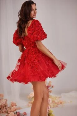 Coraline Dress 21 Coraline Dress -ALAMOUR ONLINE STORE 62 fee9b009 81da 473f b800 7bbf23539b53