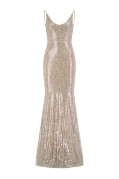 Nina Low Back Silver Gown -ALAMOUR ONLINE STORE nina 1 gm