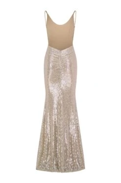 Nina Low Back Silver Gown -ALAMOUR ONLINE STORE nina 2 gm